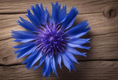 The primary subject of the image is a blue flower with purple petals, sitting on a wooden surface. The setting is a wooden table, and the visual style is a close-up of the flower. The dominant colors in the image are blue and purple, creating a calm and serene atmosphere.