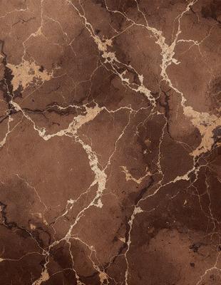 The primary subject of the image is a marble wall with a brown and gold color scheme. The setting is a room with a brown and gold marble floor. The visual style is a close-up of the marble wall, showcasing its intricate patterns and textures. The colors and mood of the image are warm and luxurious, evoking a sense of sophistication and elegance.