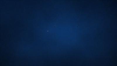 The primary subject of the image is the night sky, which is filled with stars. The setting is a dark, cloudless night, with no visible landmarks or objects. The visual style is a realistic representation of the night sky, with no indication of digital manipulation or artistic elements. The colors and mood of the image are predominantly dark and serene, with the stars providing a sense of depth and tranquility.