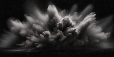 The primary subject of the image is a cloud, which is the main object, scene, or focus of the image. The setting/background features a dark, cloudy sky, which adds to the overall atmosphere of the image. The visual style of the image is a black and white photo, giving it a classic and timeless appearance. The colors and mood of the image are predominantly dark and moody, with the cloudy sky and the smoke-like appearance of the cloud creating a dramatic and mysterious scene.