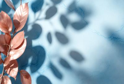 The primary subject of the image is a pink flower, which is the main focus of the scene. The flower is placed against a blue wall, creating a visually appealing contrast between the pink and blue colors. The setting appears to be a room with a wall, and the visual style of the image is a photo. The overall atmosphere of the image is calm and serene, with the pink flower serving as a beautiful and eye-catching centerpiece.