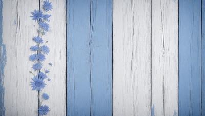 The primary subject of the image is a wooden wall with a blue stripe. The setting is a room with a blue and white striped wall. The visual style is a photo of the wooden wall with a blue stripe. The dominant colors are blue and white, creating a calm and soothing atmosphere.