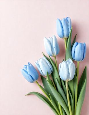 The primary subject of the image is a bouquet of blue and white tulips. The setting is a pink wall, which serves as a backdrop for the flowers. The visual style is a close-up of the flowers, showcasing their details and colors. The dominant colors in the image are blue and white, creating a calm and serene atmosphere.