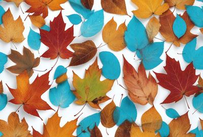 The primary subject of the image is a collection of autumn leaves, which are scattered across a white background. The leaves are in various colors, including orange, yellow, and blue, creating a vibrant and lively scene. The visual style of the image is a close-up of the leaves, showcasing their intricate details and textures. The overall atmosphere of the image is warm and inviting, as the autumn leaves evoke feelings of change and the transition from summer to fall.