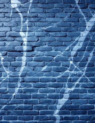The primary subject of the image is a blue brick wall with white streaks. The setting is an outdoor environment, and the visual style appears to be a photo. The dominant colors are blue and white, creating a calm and serene atmosphere.
