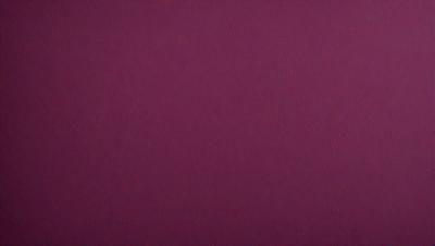 The primary subject of the image is a large, purple wall. The setting is a room with a purple background, and the visual style is a close-up of the wall. The colors and mood of the image are predominantly purple, creating a calm and serene atmosphere.
