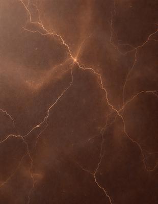 The primary subject of the image is a close-up of a brown marble wall with a pattern of lightning bolts. The setting is a room with a brown marble wall, and the visual style is a close-up of the wall. The colors and mood of the image are dominated by the brown marble and the lightning bolts, creating a warm and natural atmosphere.