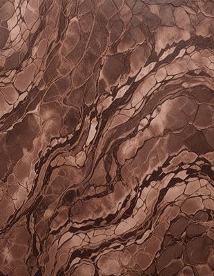 The primary subject of the image is a close-up of a marbled surface, which appears to be a piece of wood or a stone. The setting is a natural environment, with the marbled surface being the main focus of the image. The visual style is a close-up, which emphasizes the intricate details of the marbled surface. The colors and mood of the image are predominantly earthy tones, giving it a natural and organic feel.