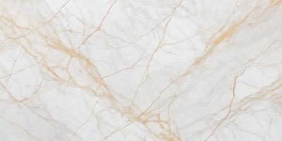 The primary subject of the image is a marble wall with a white background. The visual style is a photo, and the colors and mood are predominantly white and neutral.