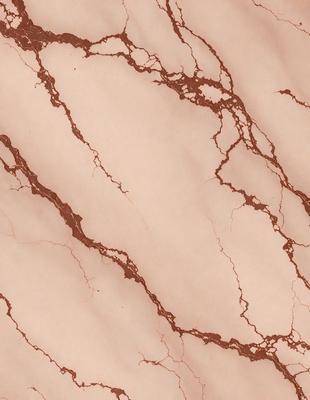The primary subject of the image is a marble wall with a brown and white color scheme. The setting is a room with a brown and white marble floor. The visual style is a close-up of the marble wall, showcasing its intricate patterns and textures. The colors and mood of the image are warm and inviting, with the brown and white marble creating a sense of elegance and sophistication.
