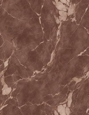 The primary subject of the image is a marble wall with a brown and white pattern. The setting is a room with a brown and white marble floor. The visual style is a close-up of the marble wall, showcasing its intricate pattern. The colors and mood of the image are warm and earthy, with the brown and white marble creating a natural and elegant atmosphere.