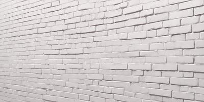 The primary subject of the image is a white brick wall. The setting is a brick wall, and the visual style is a photo. The dominant colors are white and gray, creating a clean and minimalist atmosphere.