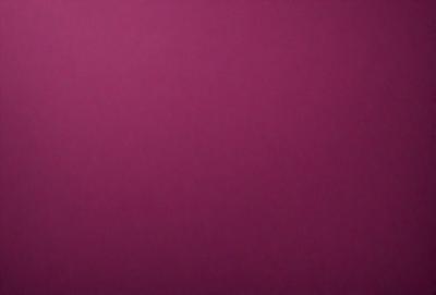 The primary subject of the image is a large, pink wall. The setting is a room with a pink background, and the visual style is a close-up of the wall. The dominant colors in the image are pink, and the overall atmosphere is warm and inviting.
