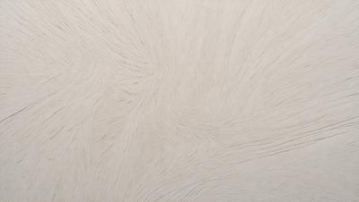 The image features a white surface with a pattern of swirls and curves. The primary subject is the white surface, which appears to be a wall or a piece of fabric. The setting is indoors, and the visual style is a combination of a photo and a drawing. The colors in the image are predominantly white, giving it a clean and minimalist appearance. The overall mood of the image is calm and serene.