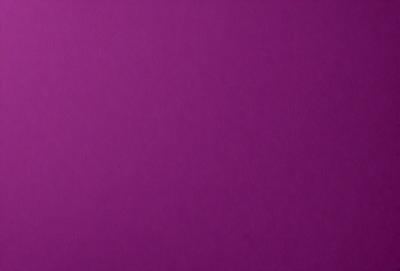 The primary subject of the image is a purple wall. The setting is a room with a purple wall, and the visual style is a close-up of the wall. The colors and mood of the image are predominantly purple, creating a calm and serene atmosphere.