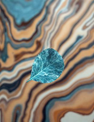 The primary subject of the image is a leaf, which is the main object, scene, or focus of the image. The leaf is placed on a marbled surface, which serves as the setting or background. The visual style of the image is a photo, as it captures the leaf in its natural environment. The colors and mood of the image are predominantly blue and green, creating a serene and calming atmosphere.