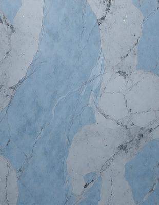 The primary subject of the image is a marble tile with a blue and white pattern. The setting is a bathroom, as indicated by the presence of the marble tile. The visual style is a close-up of the tile, showcasing its intricate design. The colors and mood of the image are predominantly blue and white, creating a clean and elegant atmosphere.