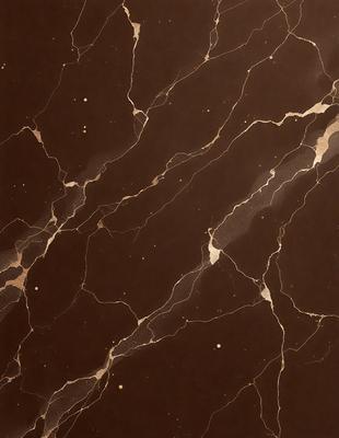 The primary subject of the image is a brown marble wall with a pattern of gold and brown streaks. The setting is a room with a brown marble floor. The visual style is a close-up of the marble wall, showcasing its unique texture and pattern. The colors and mood of the image are warm and earthy, with the gold and brown tones creating a sense of luxury and sophistication.