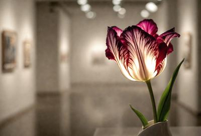 The primary subject of the image is a single purple flower, which is placed in a white vase. The setting is a room with a white wall, and the visual style appears to be a photo. The dominant colors in the image are purple and white, creating a calm and serene atmosphere.