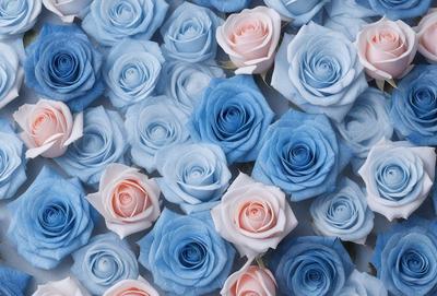The primary subject of the image is a large group of blue and pink flowers. The flowers are arranged in a visually appealing manner, creating a sense of harmony and beauty. The setting is a white surface, which provides a clean and uncluttered backdrop for the flowers. The visual style of the image is a close-up of the flowers, allowing the viewer to appreciate the details and colors of each individual flower. The dominant colors in the image are blue and pink, which evoke a sense of tranqu