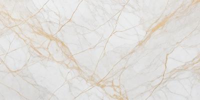 The primary subject of the image is a marble wall with a white and gold color scheme. The setting is a room with a white marble floor. The visual style is a close-up of the marble wall, showcasing its intricate patterns and textures. The colors and mood of the image are elegant and sophisticated, with the white marble providing a clean and timeless appearance.