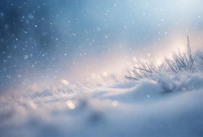 The primary subject of the image is a close-up of a snow-covered branch. The setting is a snowy environment, with the branch being the main focus of the scene. The visual style is a photo, capturing the details of the branch and the snow. The colors and mood of the image are predominantly white, with the snow creating a serene and peaceful atmosphere.