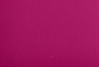 The primary subject of the image is a large, pink wall. The setting is a room with a pink background, and the visual style is a close-up of the wall. The colors and mood of the image are predominantly pink, creating a warm and inviting atmosphere.
