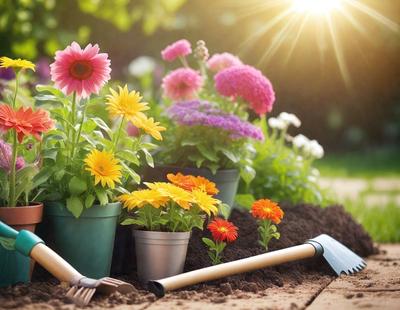 The primary subject of the image is a garden with various potted plants and flowers. The setting is a garden with a dirt surface, and the visual style is a photo. The colors and mood of the image are vibrant and lively, with the flowers and plants adding a sense of freshness and natural beauty to the scene.