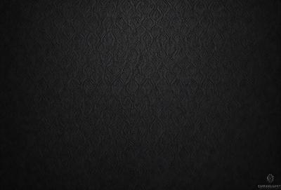The primary subject of the image is a black and white patterned wallpaper. The setting is a black background, which emphasizes the patterned wallpaper. The visual style is a close-up of the wallpaper, showcasing its intricate design. The colors and mood of the image are predominantly black and white, giving it a classic and elegant appearance.