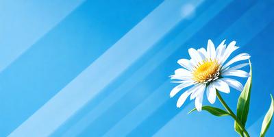 The primary subject of the image is a white flower with yellow petals, which is the main focus of the image. The setting is a blue sky, creating a serene and peaceful atmosphere. The visual style is a photo, capturing the beauty of the flower in its natural environment. The colors and mood of the image are predominantly blue and white, with the white flower standing out against the blue sky.