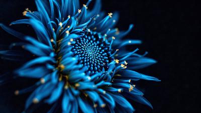 The primary subject of the image is a blue flower with a yellow center. The flower is surrounded by a blue background, which adds to the overall visual style. The colors and mood of the image are predominantly blue and serene, creating a peaceful and calming atmosphere.