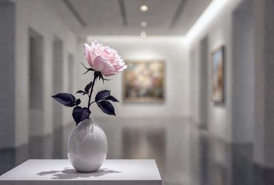 The primary subject of the image is a single pink rose in a white vase. The setting is a hallway with white walls, and the visual style is a photo. The dominant colors are white and pink, creating a calm and serene atmosphere.