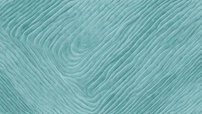 The primary subject of the image is a blue, textured surface that appears to be a piece of fabric or a wallpaper design. The setting is a close-up of the blue fabric, showcasing its intricate pattern. The visual style is a combination of a photo and a digital art, as the blue fabric appears to be a digital design. The colors and mood of the image are predominantly blue, creating a calm and serene atmosphere.