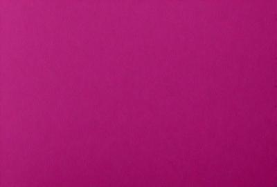 The primary subject of the image is a large, pink surface. The setting is a room with a pink wall, and the visual style is a close-up of the pink wall. The colors and mood of the image are predominantly pink, creating a warm and inviting atmosphere.