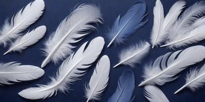 The primary subject of the image is a collection of white feathers. The feathers are arranged in various positions, creating a visually appealing and artistic display. The setting is a blue background, which complements the white feathers and adds to the overall aesthetic of the image. The visual style is a combination of photo and digital art, as the feathers are captured in a close-up shot, while the arrangement and overall composition suggest a creative and intentional design. The colors and mood of the image are