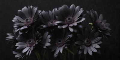 The primary subject of the image is a bouquet of black flowers. The setting is a dark background, which creates a dramatic and moody atmosphere. The visual style is a close-up of the flowers, showcasing their details and textures. The colors are predominantly black, with some variations in shades, giving the image a striking and elegant appearance.