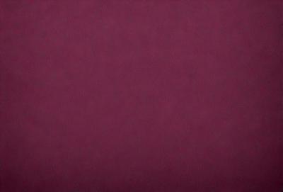 The primary subject of the image is a close-up of a maroon background. The setting is a dark room, and the visual style is a photo. The dominant colors are maroon and black, creating a moody atmosphere.