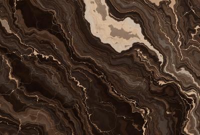 The primary subject of the image is a close-up of a marble stone with a pattern of swirls and grooves. The setting is a natural environment, with the stone being the main object of focus. The visual style is a close-up of the marble, showcasing its intricate texture and patterns. The colors and mood of the image are predominantly dark, with the marble stone being the main source of light and contrast.