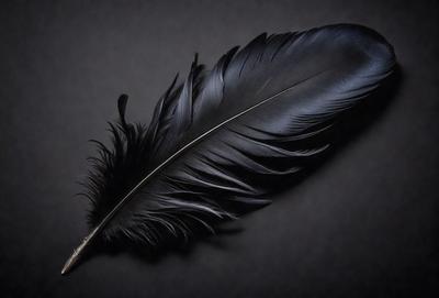 The primary subject of the image is a black feather, which is the main object, scene, or focus of the image. The setting is a dark background, which creates a dramatic and moody atmosphere. The visual style is a close-up of the feather, showcasing its details and texture. The colors are predominantly black, which adds to the overall mood of the image.