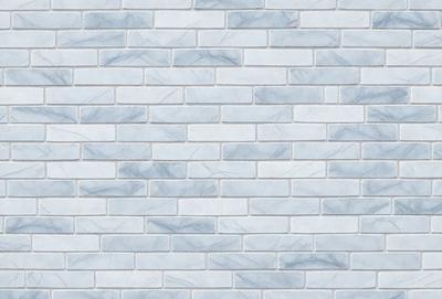 The primary subject of the image is a large, white brick wall. The setting is a plain, white brick wall, which serves as the background. The visual style is a photo, capturing the brick wall in detail. The colors and mood of the image are predominantly white, giving it a clean and minimalist appearance.
