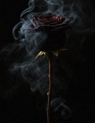 The primary subject of the image is a single red rose, which is the main focus of the scene. The rose is placed on a stem, and it appears to be floating in the air, giving the impression of a ghostly rose. The setting is a dark room, which adds to the mysterious and dramatic atmosphere of the image. The visual style is a close-up of the rose, emphasizing its details and creating a sense of intimacy. The colors in the image are predominantly black and red, which contribute
