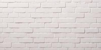 The primary subject of the image is a white brick wall. The setting is a plain white wall, with no visible background or environment. The visual style is a photo, showcasing the brick wall in detail. The colors and mood of the image are predominantly white, giving it a clean and minimalist appearance.
