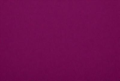 The primary subject of the image is a purple background. The setting is a large, empty space with no visible objects or people. The visual style is a close-up of the purple background, which gives a sense of depth and texture to the image. The colors and mood of the image are predominantly purple, creating a calm and serene atmosphere.