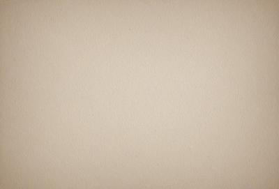 The image is a close-up of a tan wall, possibly a piece of cardboard or a wallpaper. The wall appears to be textured and has a slightly rough surface. The focus of the image is the tan wall, with no other objects or elements visible in the frame.