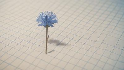 The primary subject of the image is a single blue flower with a thin stem, placed on a white grid paper. The setting is a white surface, which provides a clean and minimalistic backdrop for the flower. The visual style of the image is a combination of a photo and a drawing, as the flower appears to be a real object, yet the grid paper adds a touch of artistic design. The colors and mood of the image are predominantly white and blue, creating a calm and serene atmosphere.