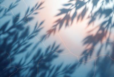 The primary subject of the image is a tree with a branch extending outwards. The setting is a wall with a blue background, and the visual style appears to be a digital art or illustration. The dominant colors in the image are blue and purple, creating a calm and serene atmosphere.