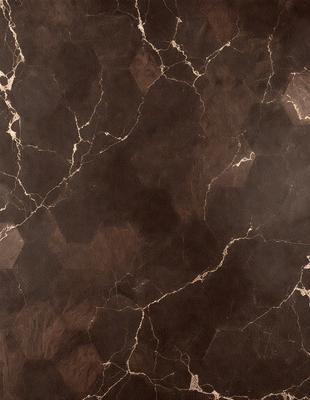 The primary subject of the image is a marble wall with a brown and black color scheme. The setting is a room with a brown and black marble floor. The visual style is a close-up of the marble wall, showcasing its texture and pattern. The colors and mood of the image are warm and sophisticated, with the marble providing a luxurious and elegant atmosphere.