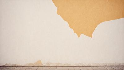 The primary subject of the image is a white wall with a brown spot on it. The setting is a room with a brick wall, and the visual style is a photo. The dominant colors are white and brown, creating a mood of simplicity and naturalness.