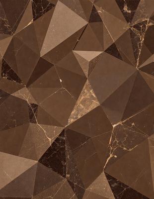 The primary subject of the image is a brown marble tile with a geometric pattern. The setting is a wall, and the visual style is a close-up of the tile. The colors and mood of the image are warm and earthy, with the brown marble tile being the dominant color.