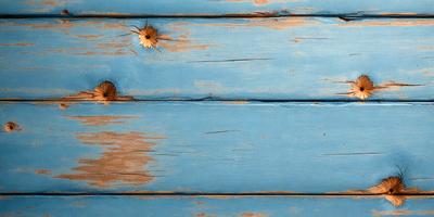 The primary subject of the image is a blue wooden wall with a few nails in it. The setting is a room with a blue wooden wall, and the visual style is a photo. The dominant colors are blue and yellow, creating a warm and inviting atmosphere.